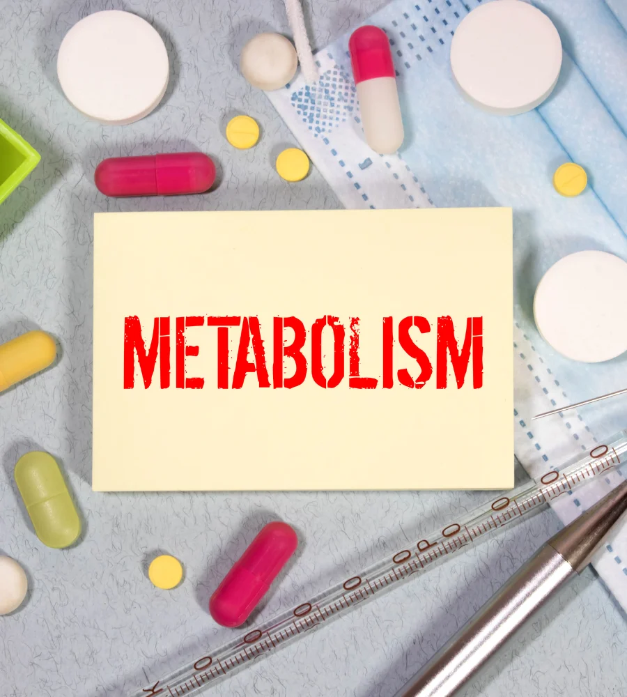 chiropractic care for back pain Eden Prairie